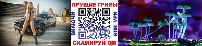 кракен ссылки  Нефтекамск  Псилоцибиновые грибы GOLDEN TEACHER 